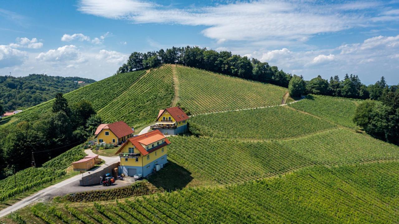 Weingut-Gaestehaus Birnstingl Gamlitz Exterior foto