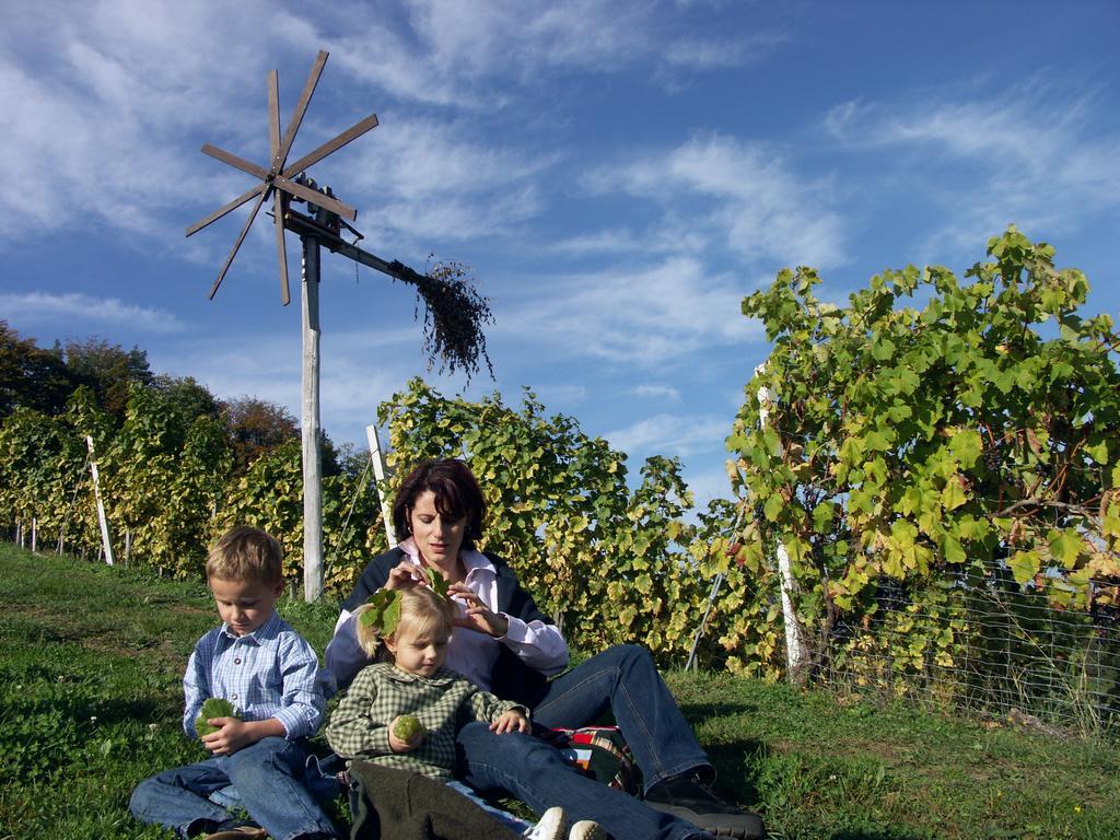 Weingut-Gaestehaus Birnstingl Gamlitz Exterior foto